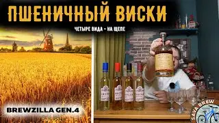 ПШЕНИЧНЫЙ ВИСКИ на щепе | BrewZilla GEN 4 65L