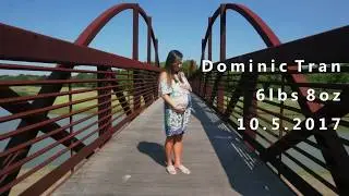 Dominic's Day 1