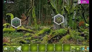 Wow Parky Forest Escape Walkthrough [WowEscape]