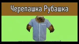 Змейка копейка кукушка психушка черепашка рубашка пингвин  апельсин  1.7 тон