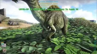 Ark fresh spawn tutorial