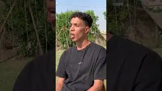 قصة الكلب والقاضي 