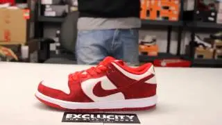 Nike Sb Dunk Low Pro 