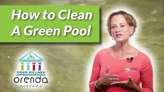 How to Clean a Green Pool | Orenda Procedures