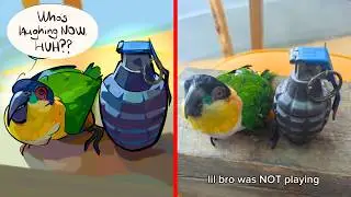 Parrot decided to get back at a man for not sharing peanuts with him | Funny Animal Memes (my art)