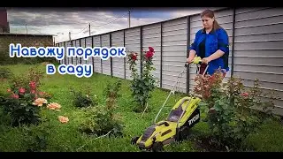 Навожу порядок в саду 🌼🌿🌲 Мой уход за розами и не только🌺🌹