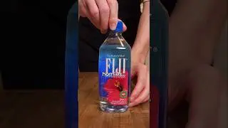 Fine dining on a budget (pt 27) 