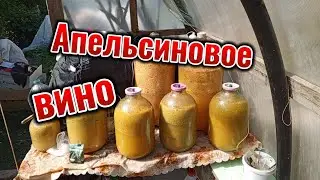Апельсиновое вино
