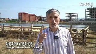 Площадка для жертвоприношения в Каспийске останется прежней