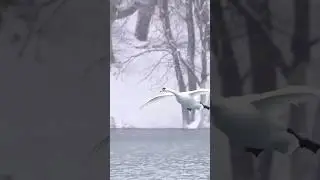 Flight Take Off