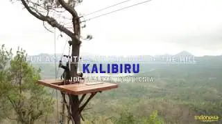 Welcome to the Tourism Village of Kalibiru In Jogjakarta Destination