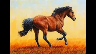 Drawing of a Horse