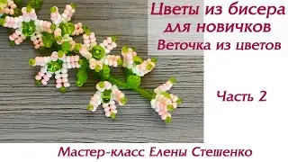 Бисероплетение. Мастер-класс Веточка из цветов. Цветы из бисера для новичков. Сборка веточки. Часть2