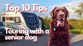 Caravanning with a Senior Dog | Caravan Vlogs from Mac & Sarah