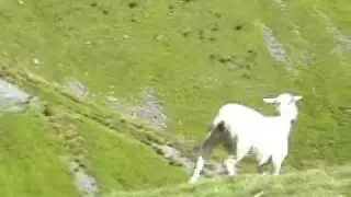 THE MACH LOOP LOW LEVEL FLYING 1-6-09