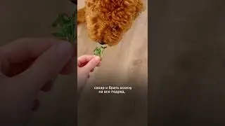 Как перестать тревожиться и начать есть?