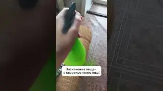 Назначение вещей в квартире холостяка! #юмор #прикол #приколы #смех  #дом