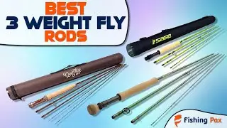 Best 3 Weight Fly Rods (For Trout Fishing)