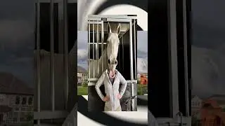 FOTOS QUE VOCÊ VAI PRECISAR OLHAR DUAS VEZES PRA ENTENDER 21 
