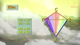 Practically's Concepts - Types Of Quadrilaterals - 