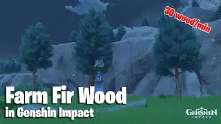 Where to find Fir Wood (Best Farm Route) | Genshin Impact