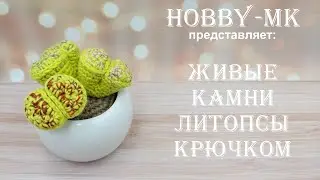 Суккуленты или живые камни литопсы крючком (авторский МК Светланы Кононенко)