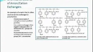 Ion Exchange Chromatography