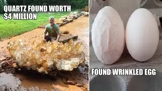 People Who Found The Most Surprising Thing
