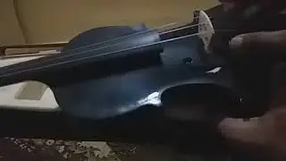 parts of the violin (sinhala)