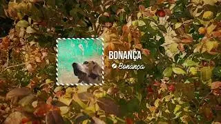 Drai - Bonança