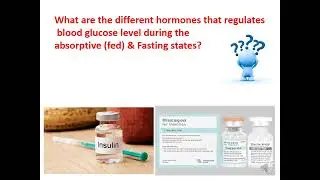 MED LEVEL3 END327 BIO LECTURE FAST FED CYCLE 1