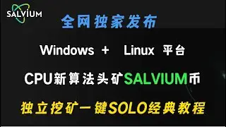 全網獨家發布CPU新算法頭礦SALVIUM(SAL)幣高效挖礦工具，Windows + Linux平台，獨立開採一鍵SOLO經典教程