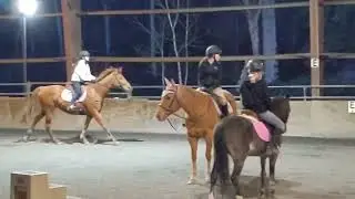 Horse Back Lesson on Adonis (extremely late)