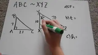Similar Polygons Tutorial