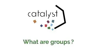 Catalyst Tutorial: What are groups?