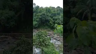 SOUNDS OF NATURE | BATAAN LEISURE PARK
