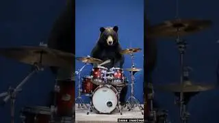 AI gererated Bear playing Drums #ai #bear #aivideoyoutube #aicreativity #drums #babybear #blackbears
