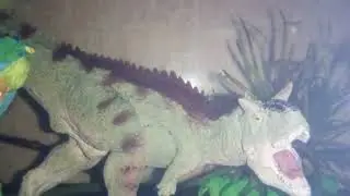 War