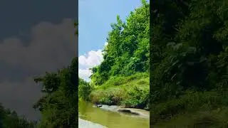 সুন্দর ছিল বান্দর বনের ভিউ গুলো #rashedul 🌺🌺