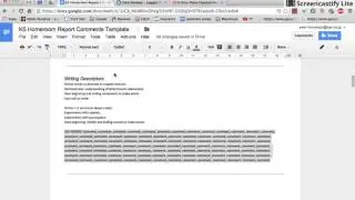 Word / Character Count in Google Docs
