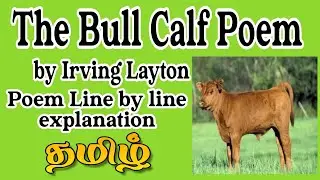 The Bull Calf Poem Line by Line Explanation by Irving Layton