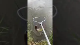 Рыбалка в Армавире. Краснодарский край.