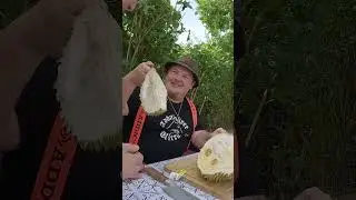 Völlige Geschmacksverirrung 🤣