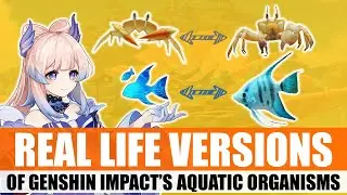 Genshin Impact Fish IN REAL LIFE