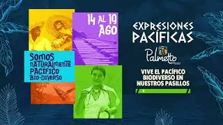 Expresiones Pacíficas