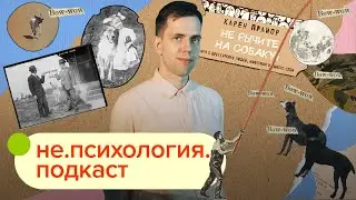 Устранение вредных привычек без принуждения / не.психология.подкаст #11 / Иван Чистяков
