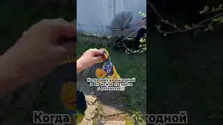 У вас тоже так, что вы можете укладывать ребенка час-два-три, а муж хоп! за 15 мин справился ???😂