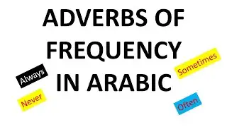 Master Arabic Adverbs of Frequency in 10 Minutes! 🌟 (Always, Never, Sometimes, and More!)