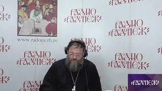 Прямая трансляция пользователя Трансляции Радонеж