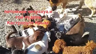 #влог